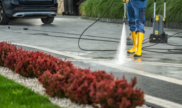 Best Roof Washing  in Saks, AL